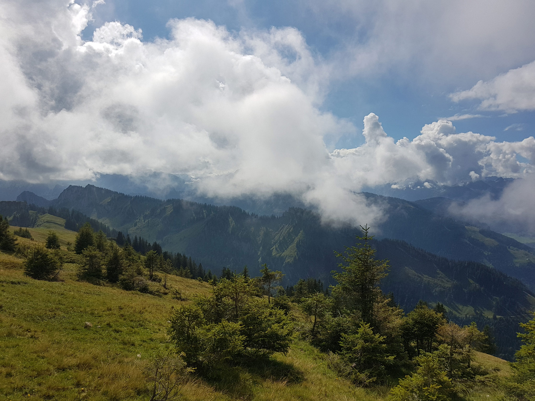 Andelsbuch, Schwarzenberg
